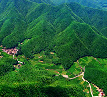 ��̬��������ġ�����ģʽ��