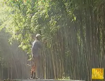 �߱鰲����