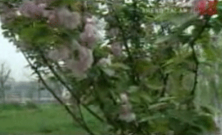 ��̬���� ��������