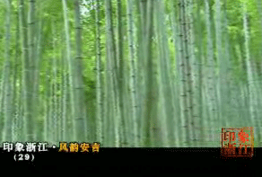 ��ӡ���㽭�����ϰ���