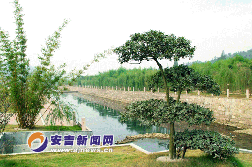 27457 页