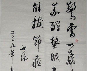 鷨