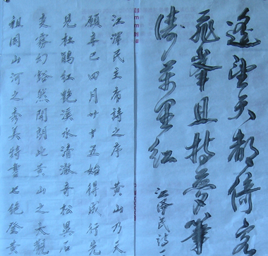 ŵԴ鷨