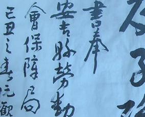 䡪鷨