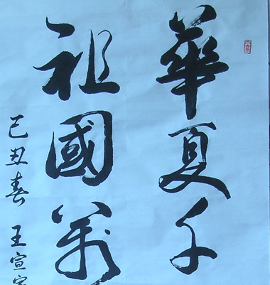 鷨