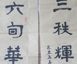á鷨