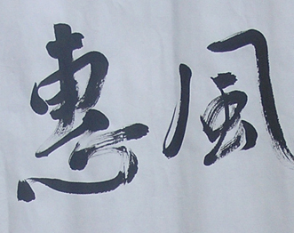 鷨