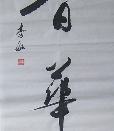 鷨