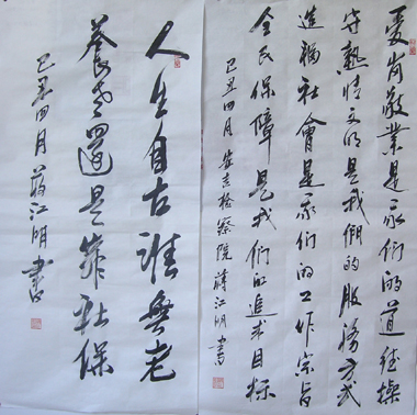 鷨