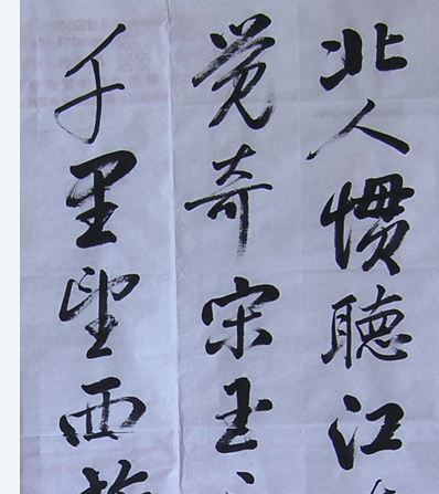 鷨
