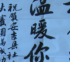 鷨