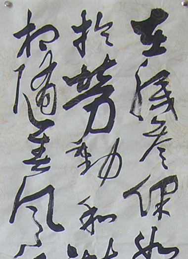 鷨
