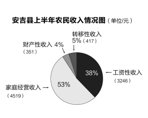 工资收入证明模板_增加农民工资性收入